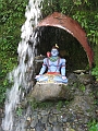 Auf der Finca Vrindavana in Ecuador